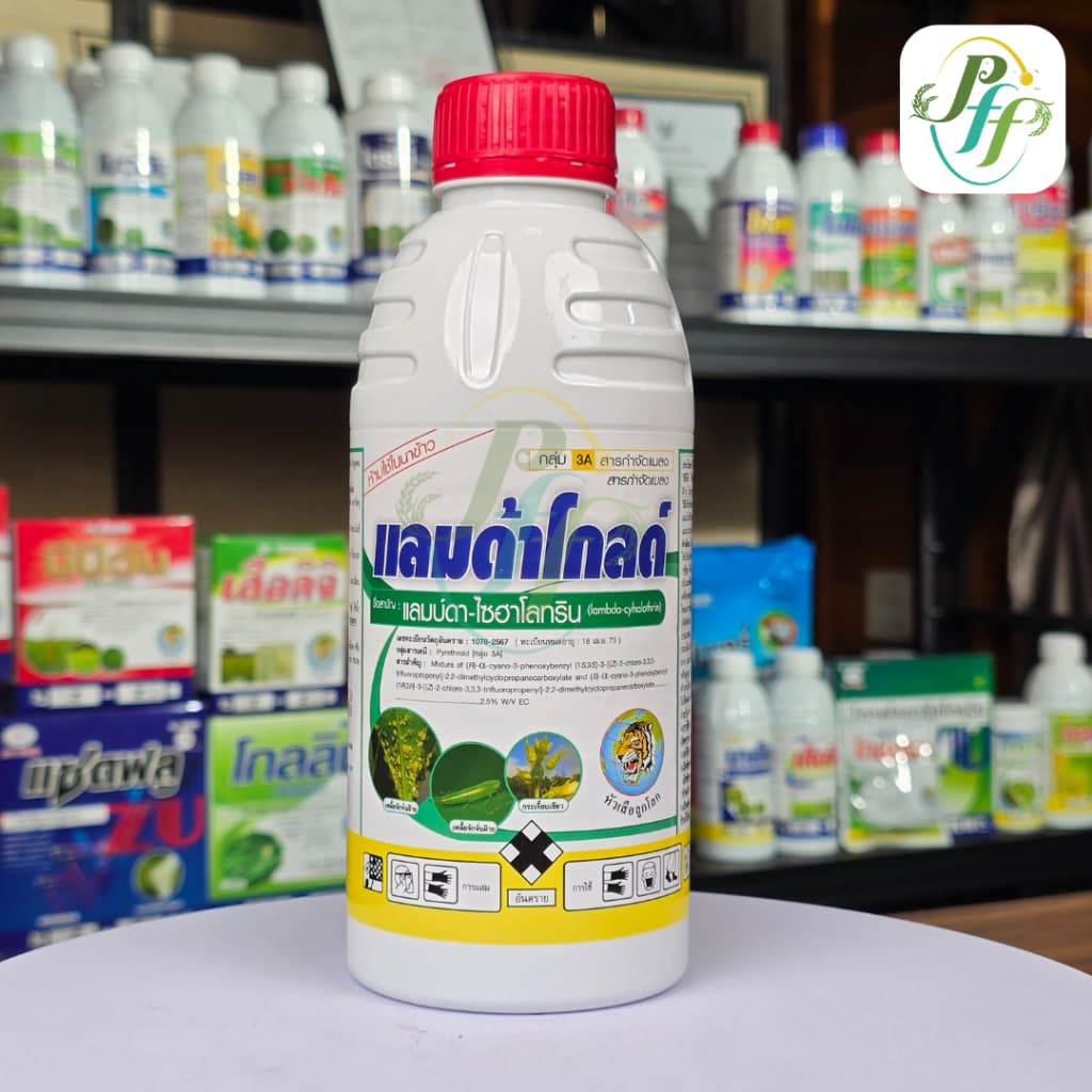 ยกลัง แลมด้าโกลด์ แลมบ์ด้า-ไซฮาโลทริน สูตรเย็น สารกำจัดเพลี้ย น๊อคเย็น แมลงศัตรูพืช รูปที่ 4