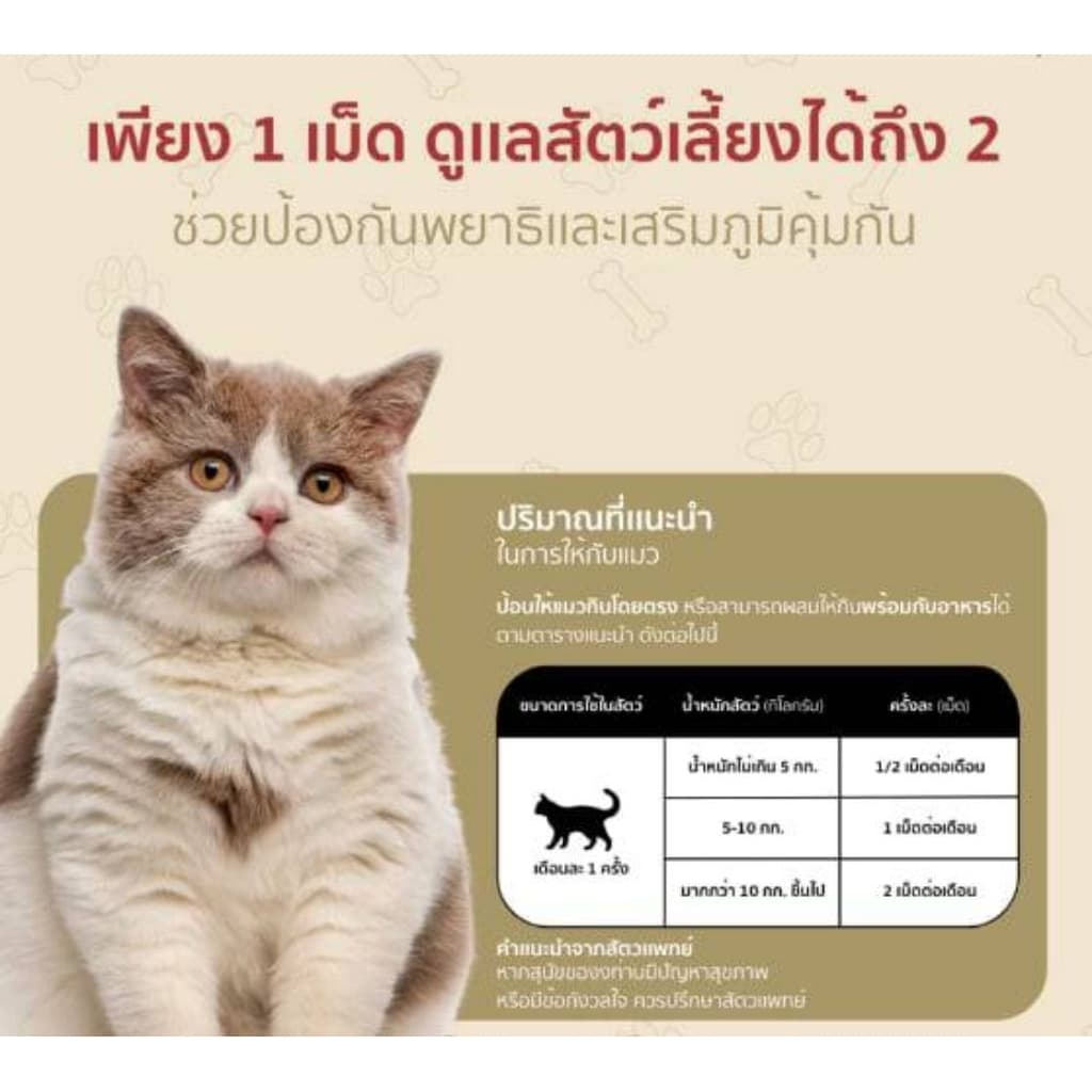 ARMETAB ZINC+ อาร์มีแท็บซิงค์พลัส อาหารเสริมกำจัดเห็บหมัดและพยาธิสำหรับสุนัขและแมว **1กล่องบรรจุ12เม็ด** รูปที่ 8