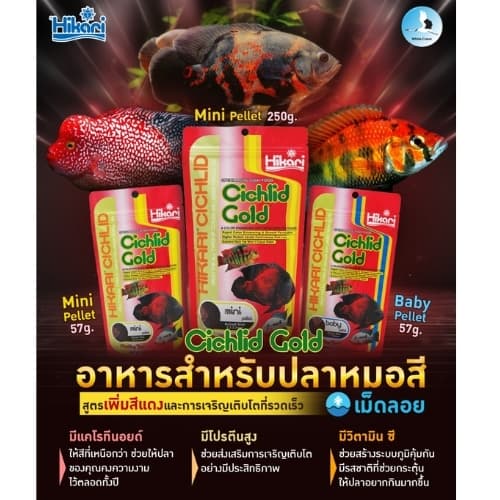 Hikari Cichlid Gold ปลาหมอทุกสายพันธุ์ สูตรเร่งสีสวยตามธรรมชาติ 57กรัม , 250กรัม รูปที่ 1