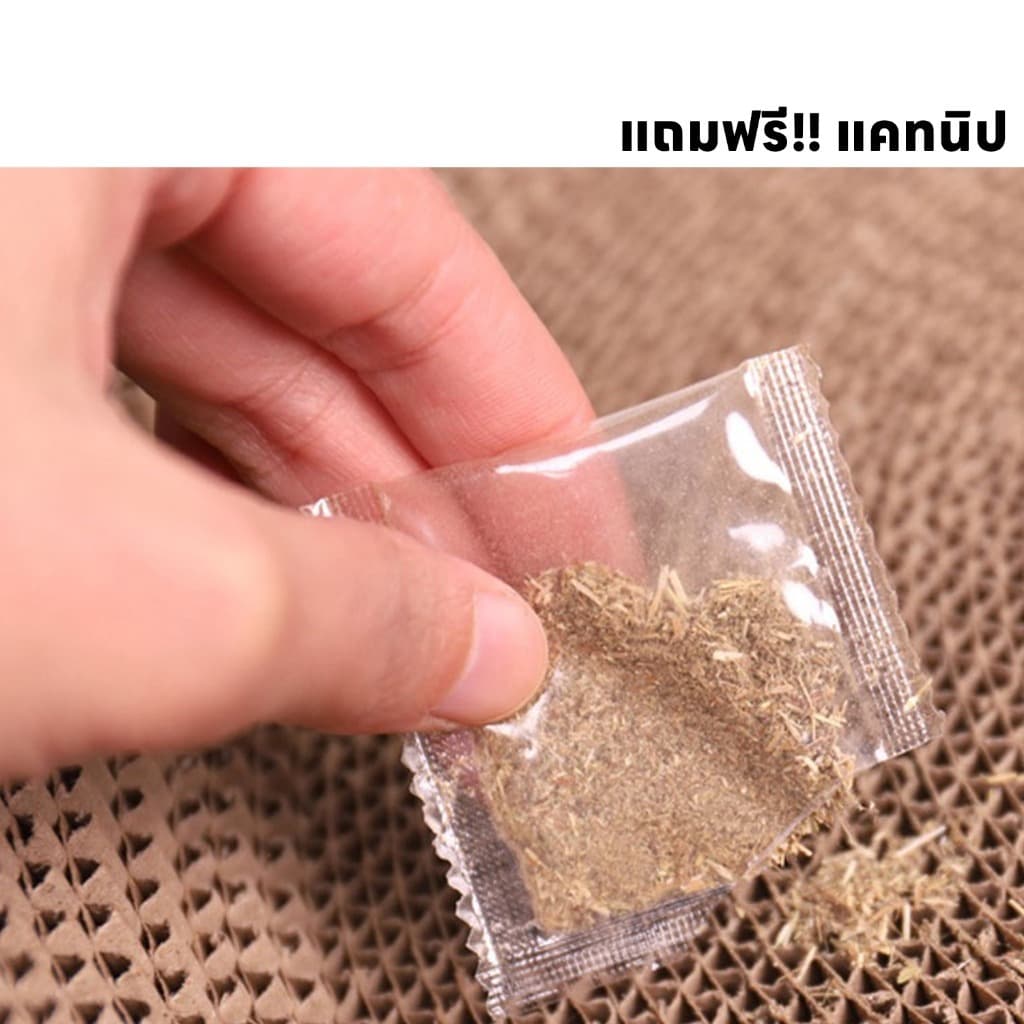 ที่ลับเล็บแมวทรงอ่าง ที่ฝนเล็บ พร้อมแคทนิปในตัว ใช้เป็นที่นอนได้ ของเล่นแมว อ่างลับเล็บแมว ที่ฝนเล็บแมว ที่ขูดเล็บแมว รูปที่ 9