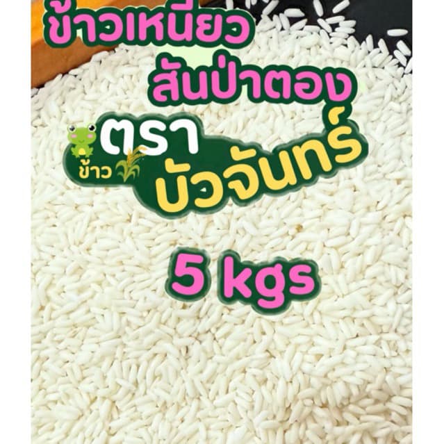บัวจันทร์ ข้าวเหนียวสันป่าตองใหม่ ข้าวตราบัวจันทร์ 5 กก เกรดพรีเมียม ข้าวนุ่มเม็ดสวยเกรดส่งออก รูปที่ 3