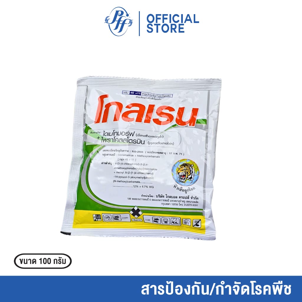 โกลเรน 100 กรัม ไดเมโทมอร์ฟ + ไพราโคลสโตรบิน ยอดเน่า ผลเน่า ใบจุด ราแป้ง ช่อดำ โรคไฟทอป รูปที่ 3