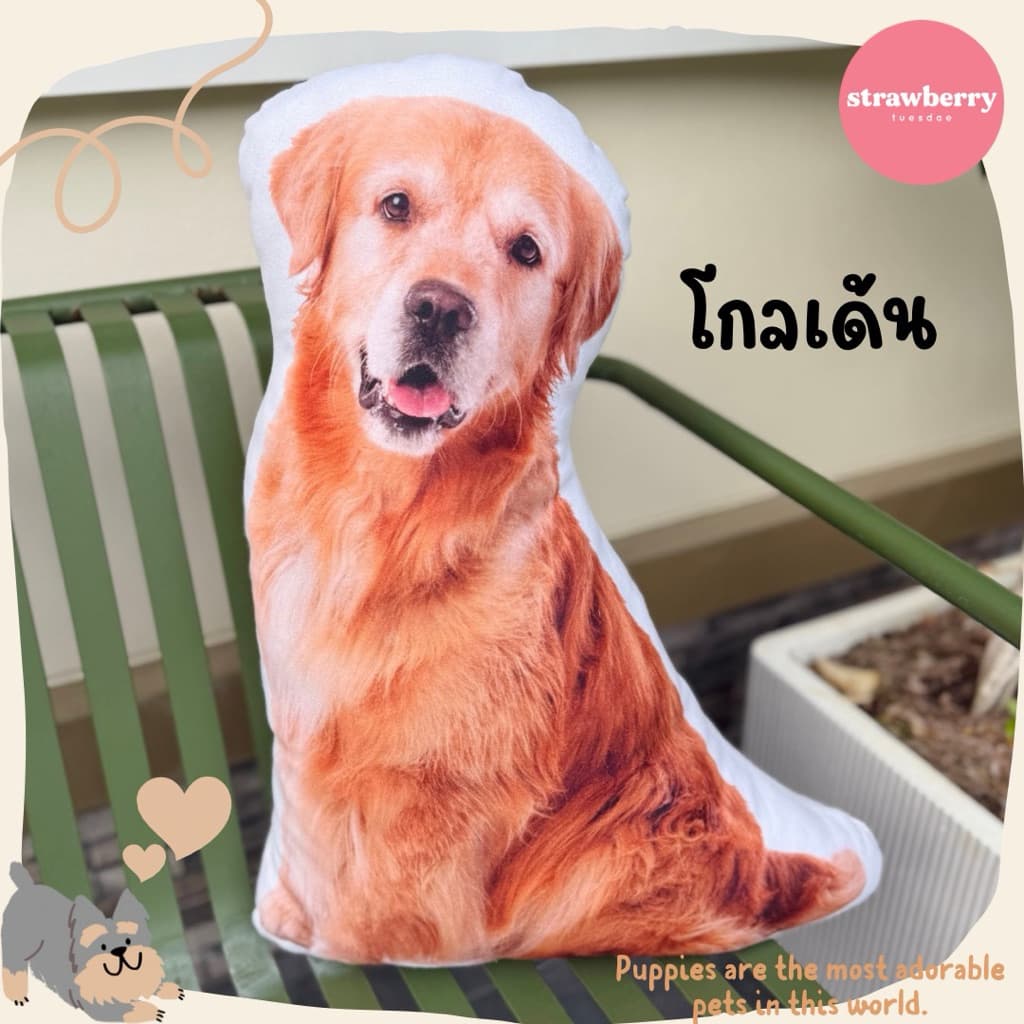 หมอนพิมพ์ลายเจ้าหมา ตุ๊กตาหมา หมอนหมา ขนาด60cm ใบใหญ่ สีสวยคมชัด สต็อคแน่น มีเก็บปลายทาง รูปที่ 9