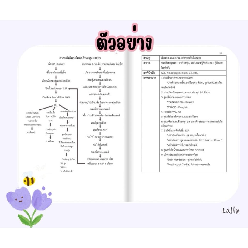 หนังสือสรุปโรคและการพยาบาล เล่ม 1 รูปที่ 5
