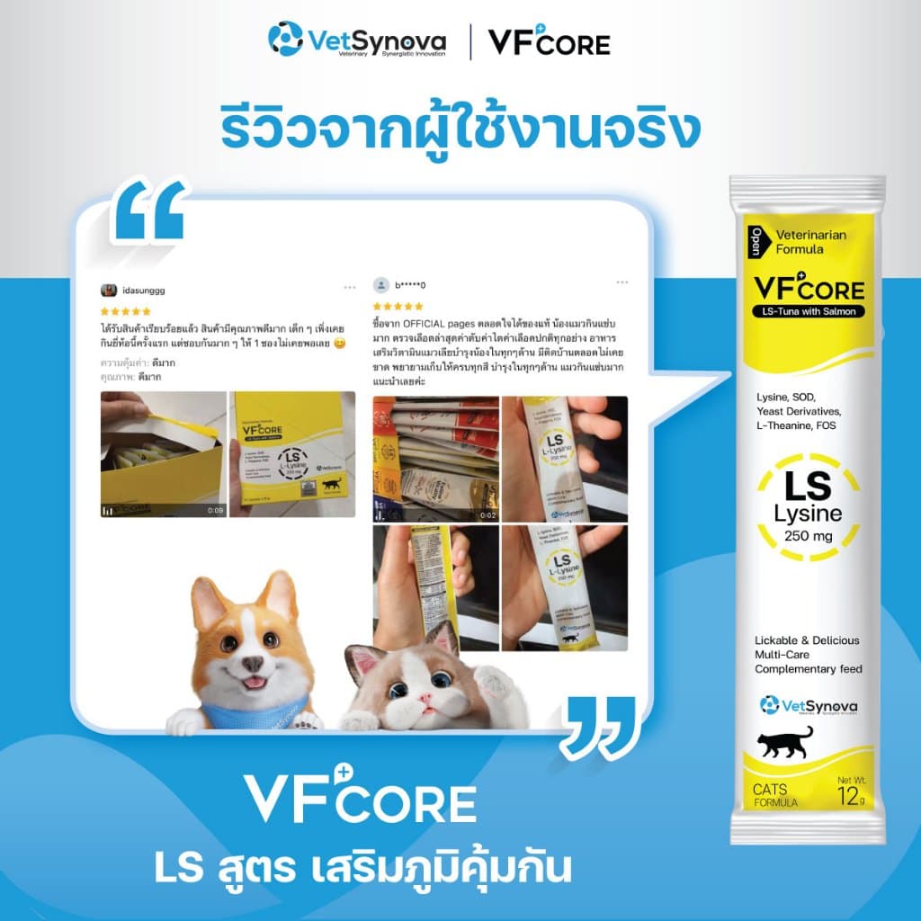 Cat Healthy Everyday VFcore LS x10 ซอง + Feline Vitality x10 ซอง รูปที่ 6