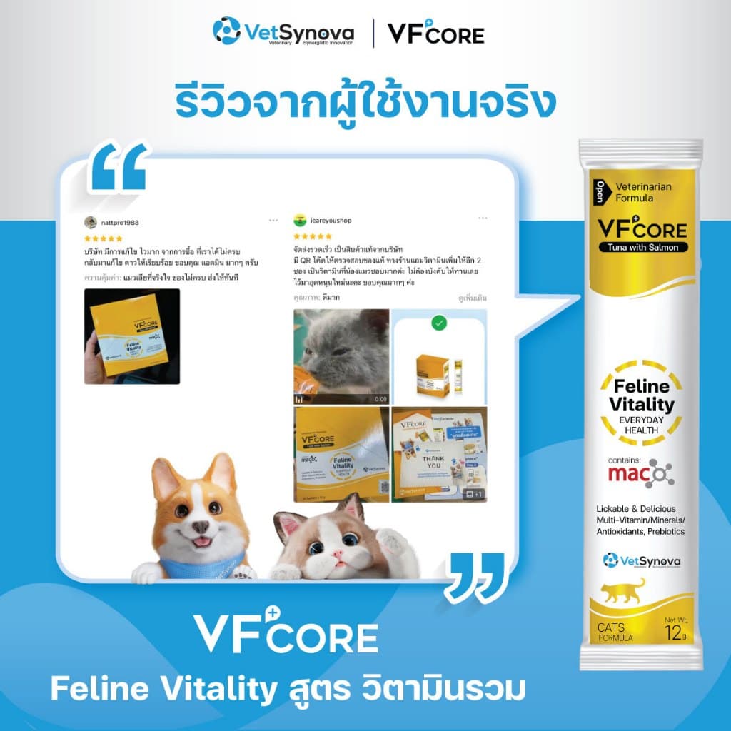 Cat Healthy Everyday VFcore LS x10 ซอง + Feline Vitality x10 ซอง รูปที่ 7