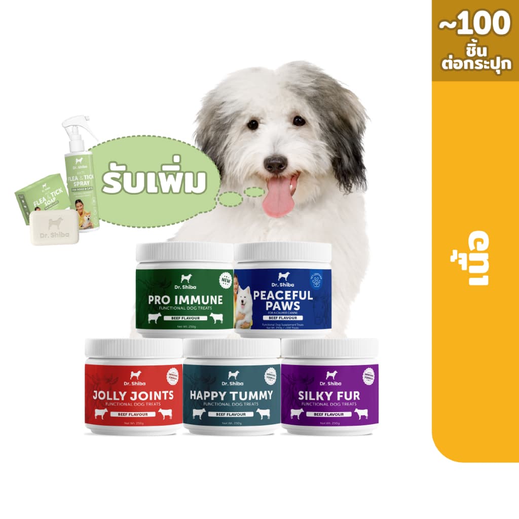 *พัฒนาสูตรใหม่* Set 5 กระปุก รับเพิ่ม 2ชิ้น Dr.Shiba Happy Tummy / Pro Immune / Jolly Joints / Silky Fur / Peaceful Paws รูปที่ 1