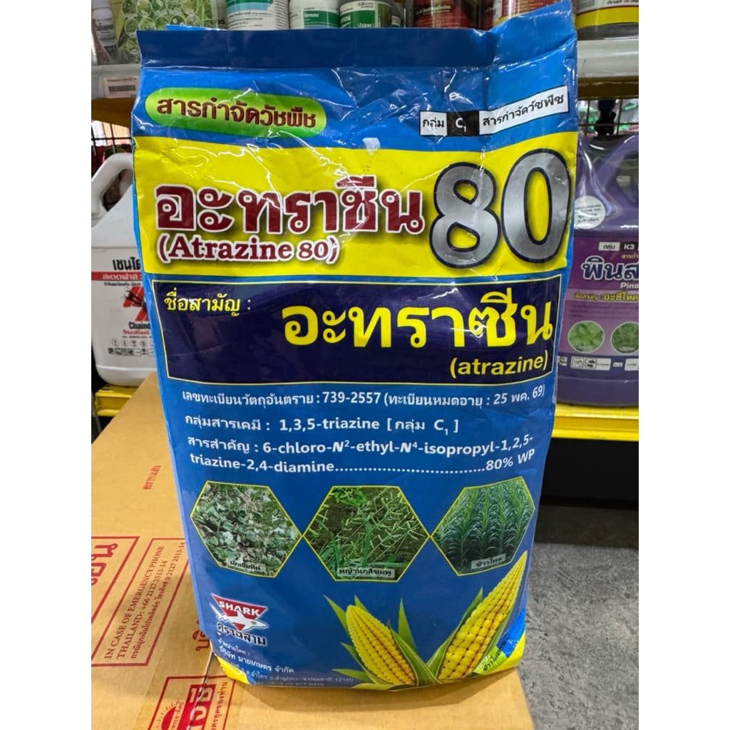 อะทราซีน กำจัดหญ้าในไร่สับปะรด กำจัดหญ้าไร่ข้าวโพด กำจัดหญ้าไร่อ้อย ออกฤทธิ์คุมฆ่าหญ้า รูปที่ 4