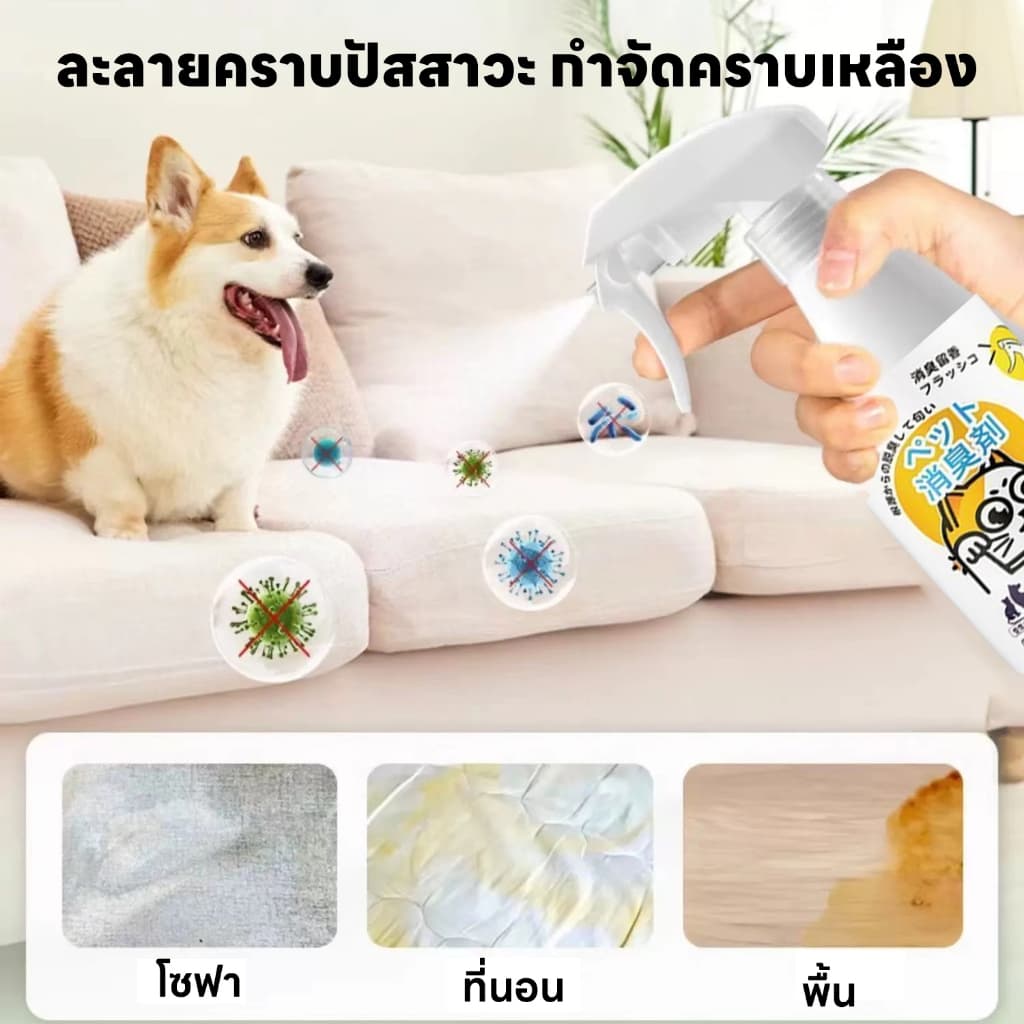 ขจัดกลิ่นและฆ่าเชื้อ 1 วินาทีLab สเปรย์ดับกลิ่นฉี่แมว สเปรย์ดับกลิ่นสัตว์เลี้ยง ดับกลิ่นทรายแมว สเปรย์ดับกลิ่นสุนัข รูปที่ 5