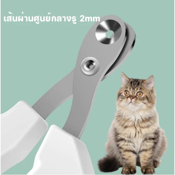 กรรไกรตัดเล็บสัตว์เลี้ยง มืออาชีพสุนัขแมวเล็บ ก ริปเปอร์ กับความปลอดภัยยามสแตนเลสสัตว์เลี้ยงกรงเล็บเล็บกรูมมิ่งกรรไกรอุป รูปที่ 5
