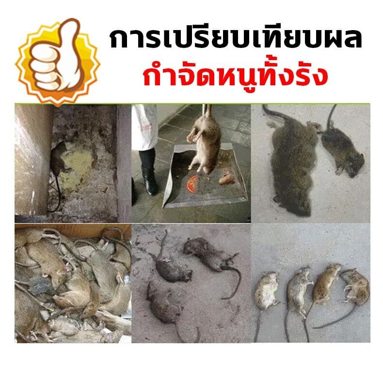 ปลอดหนูตลอดทั้งปียาฆ่าหนู ยากำจัดหนู เหยื่อกำจัดหนู ตายแห้ง ​ไม่เหม็น ใช้งานง่าย รูปที่ 3