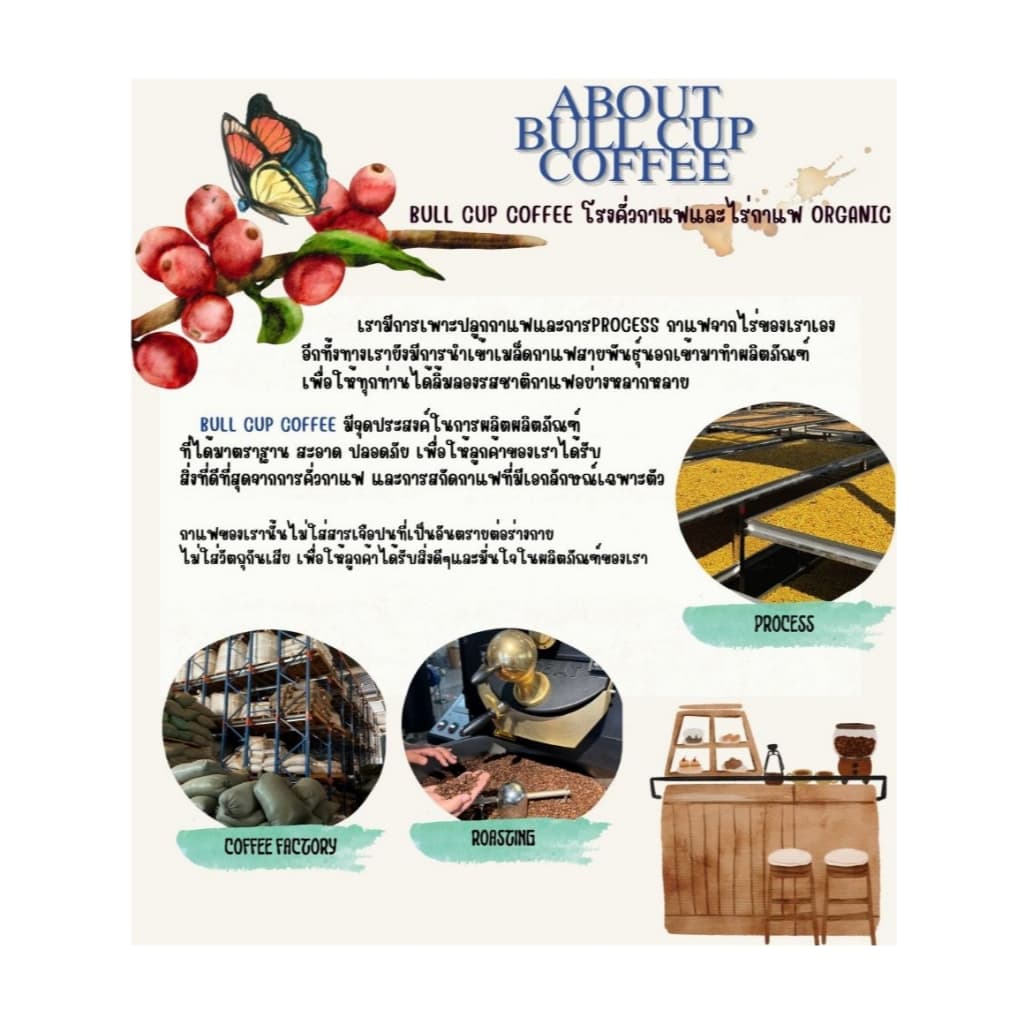 เมล็ดกาแฟคั่วอ่อน ''Blueberry กลิ่นบลูเบอร์รี่'' Colombia Specialty Coffee รูปที่ 8