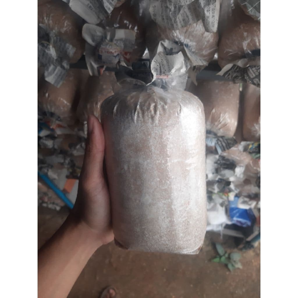 ก้อนเชื้อเห็ดนางฟ้าภูฐานจำนวน 5 ก้อน รูปที่ 1