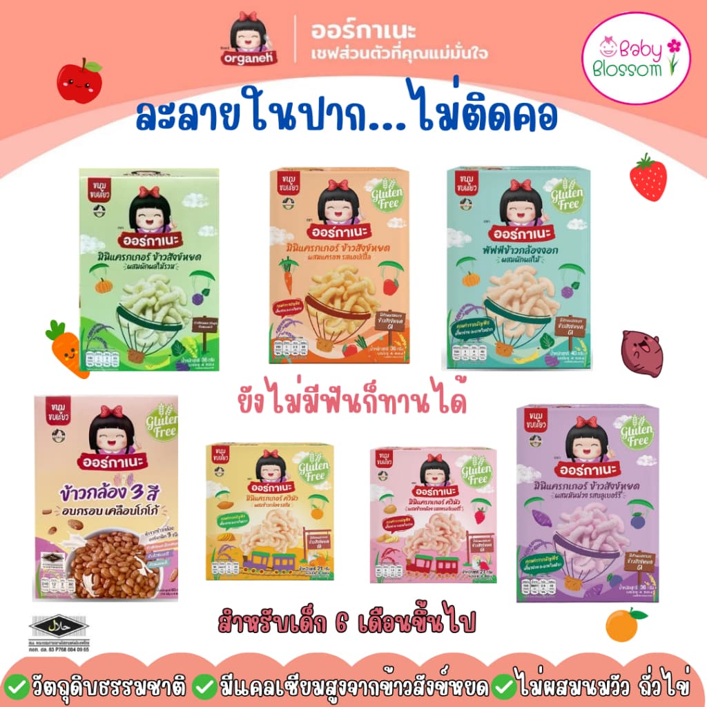 ออร์กาเนะ Organeh มินิแครกเกอร์ ข้าวสังข์หยด เคี้ยวง่าย ละลายในปาก สำหรับเด็ก 6 เดือนขึ้นไป ขนมเด็ก รูปที่ 1