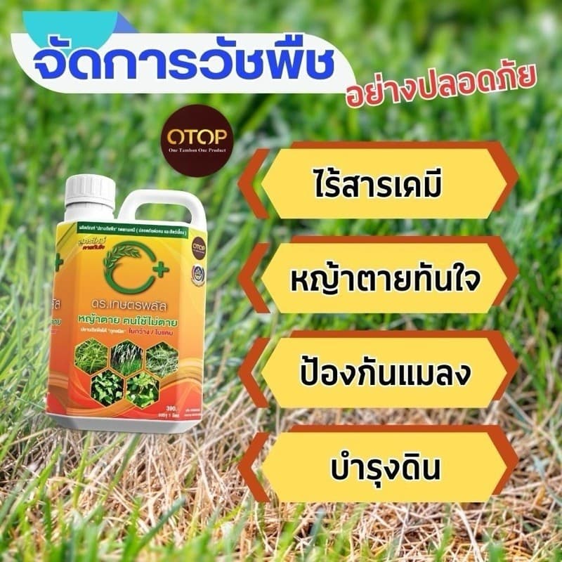 2 แถม 1 สารกำจัดวัชพืช สูตรอินทรีย์ ขนาด 1000 ML. ปลอดภัย เป็นมิตรต่อสิ่งแวดล้อม รูปที่ 6