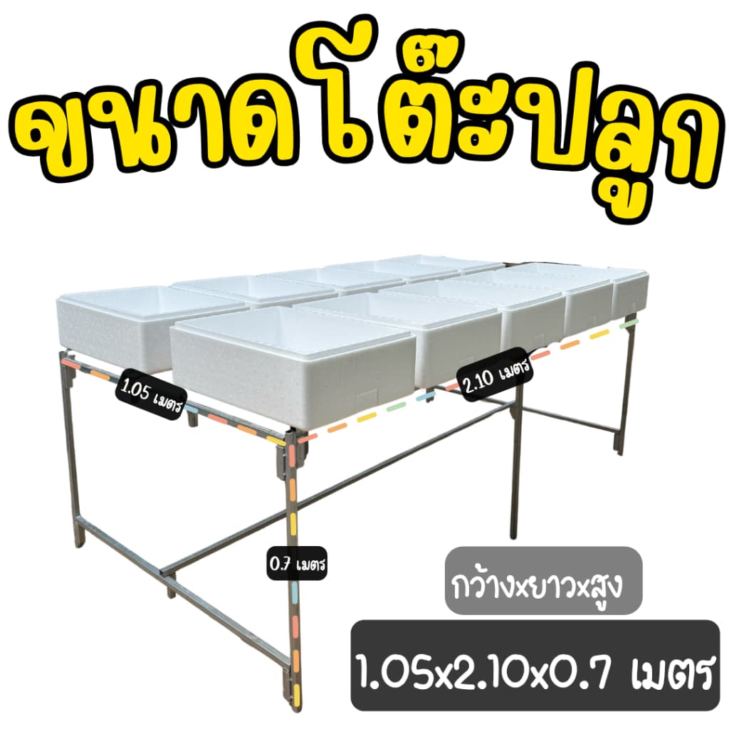 โต๊ะปลูกผักไฮโดรโปนิกส์ โต๊ะปลูกผักสำเร็จรูป ประกอบง่าย แข็งแรง วางกล่องโฟมได้ 10 กล่อง รูปที่ 2