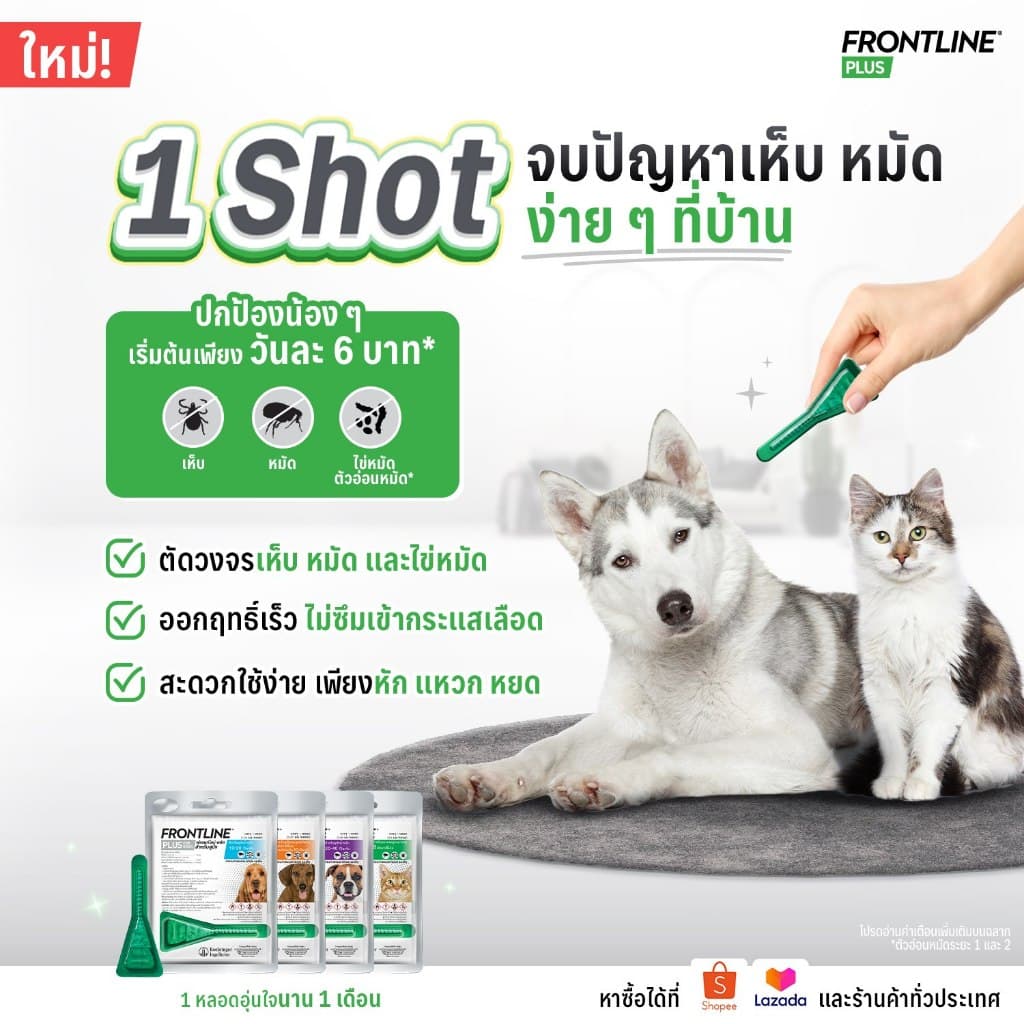FRONTLINE PLUS CAT ฟรอนท์ไลน์ พลัส ยาหยดกำจัดเห็บหมัด สำหรับแมว รูปที่ 9