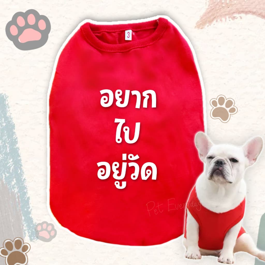 Hot เสื้อสัตว์เลี้ยง สกรีนคำกวนๆ ชุดน้องหมา น้องแมว สัตว์เลี้ยง เสื้อผ้าคอตตอน รูปที่ 1