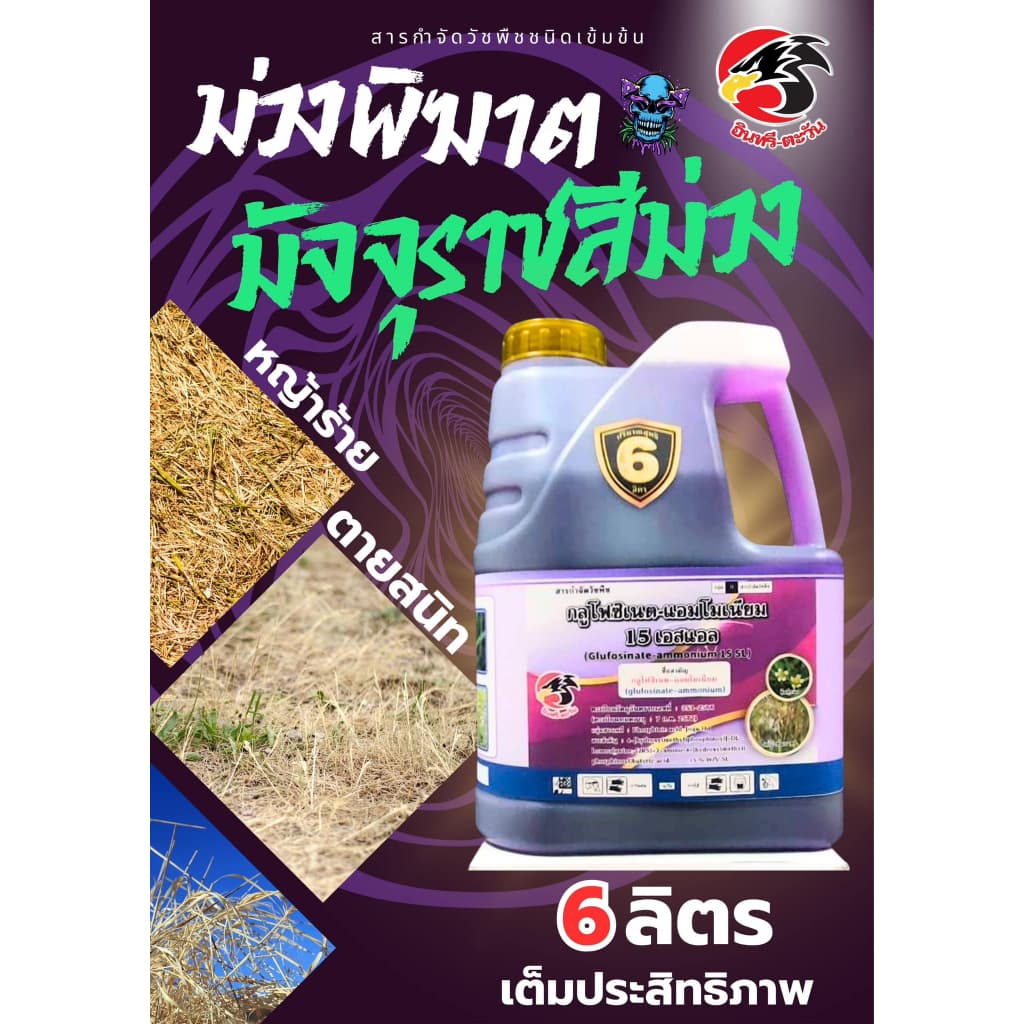 กลูโฟซิเนต 6 ลิตร เกรดน้ำม่วงพิฆาต มัจจุราชสีม่วง #กลูโฟซิเนตแอมโนเนียม 15% ยาเผาไหม้+ดูดซึม หญ้าร้ายตายเรียบ รูปที่ 2