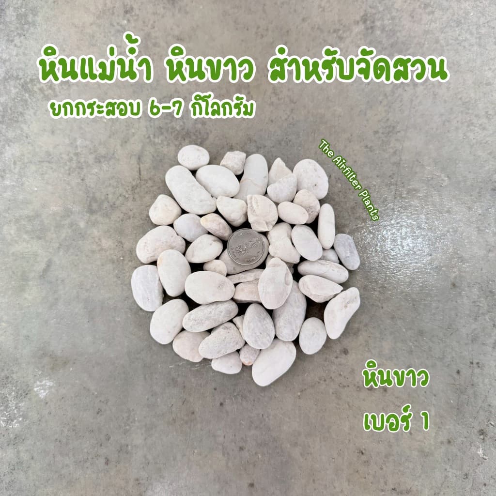 หินแม่น้ำ หินขาว หินกรวดยกกระสอบ 6-7 กิโลกรัม สำหรับตกแต่งสวน โรยกระถางต้นไม้ รูปที่ 4