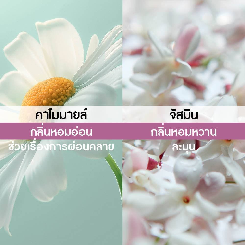 อีฟ โรเช Yves Rocher Sur La Lande Eau De Parfum 100 มล. น้ำหอม เซอร์ ลา แลนด์ เออ เดอ พาร์ฟูม รูปที่ 3