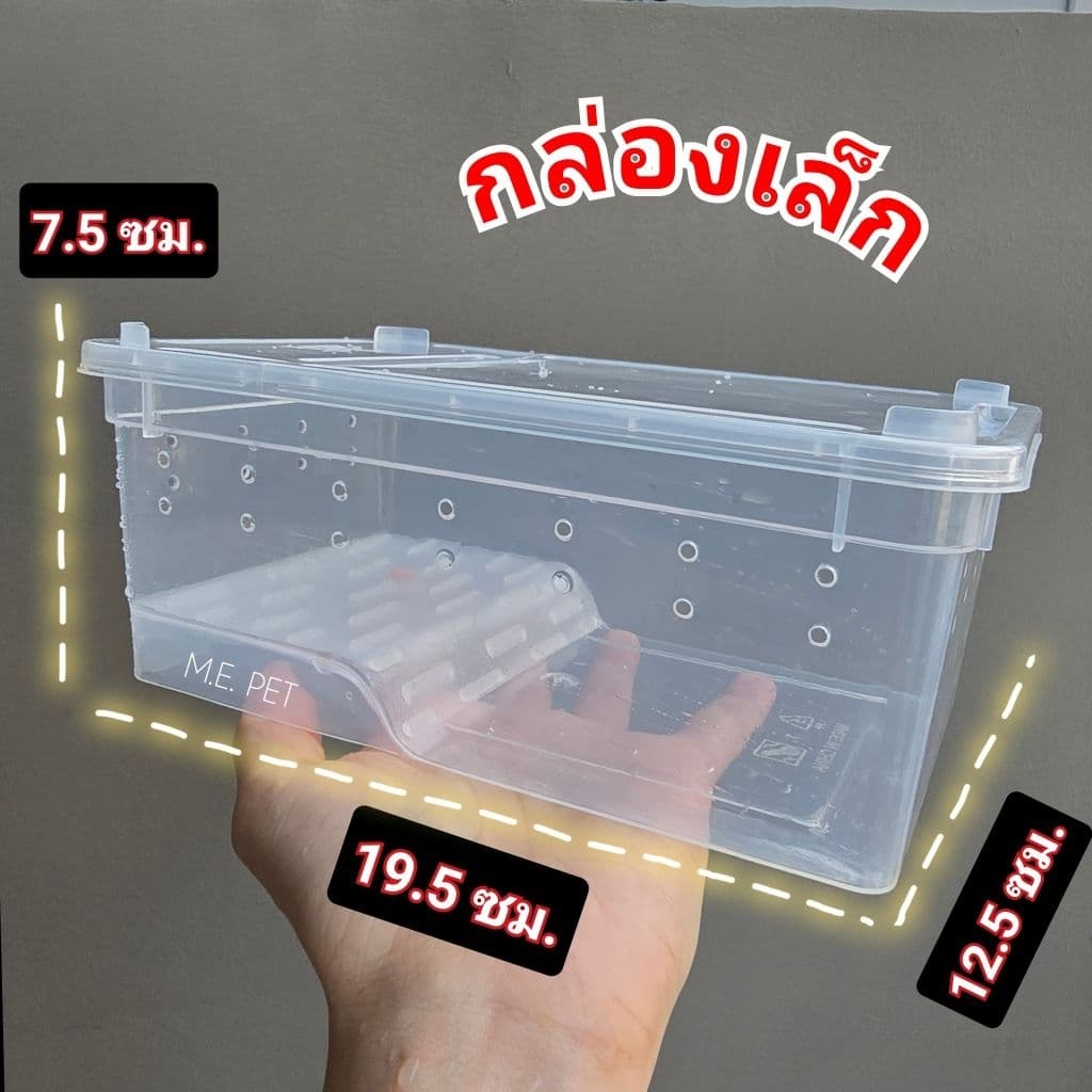 เซ็ตเลี้ยงหอยทาก และอุปกรณ์สำหรับเลี้ยงหอยทาก รูปที่ 2