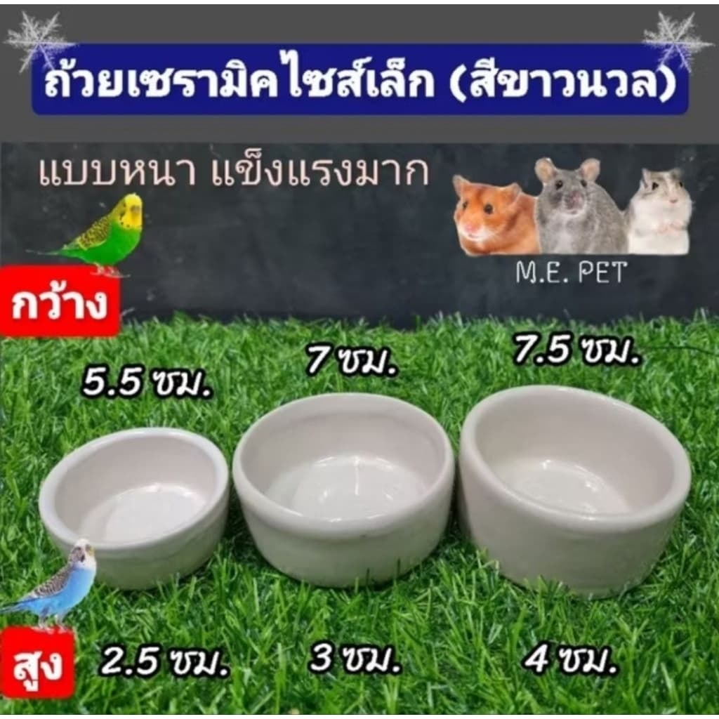 เซ็ตเลี้ยงหอยทาก และอุปกรณ์สำหรับเลี้ยงหอยทาก รูปที่ 8