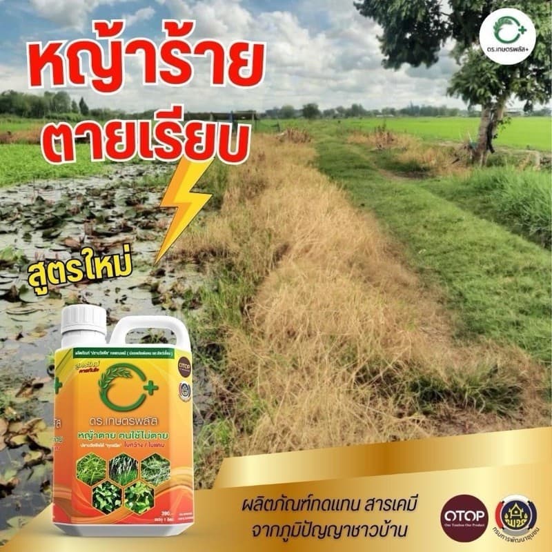 2 แถม 1 สารกำจัดวัชพืช สูตรอินทรีย์ ขนาด 1000 ML. ปลอดภัย เป็นมิตรต่อสิ่งแวดล้อม รูปที่ 4