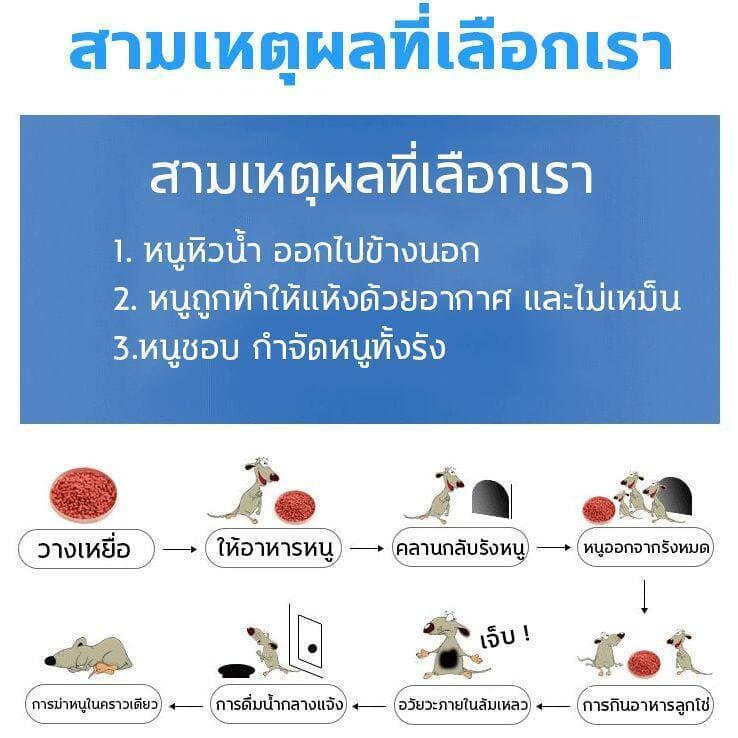ปลอดหนูตลอดทั้งปียาฆ่าหนู ยากำจัดหนู เหยื่อกำจัดหนู ตายแห้ง ​ไม่เหม็น ใช้งานง่าย รูปที่ 6