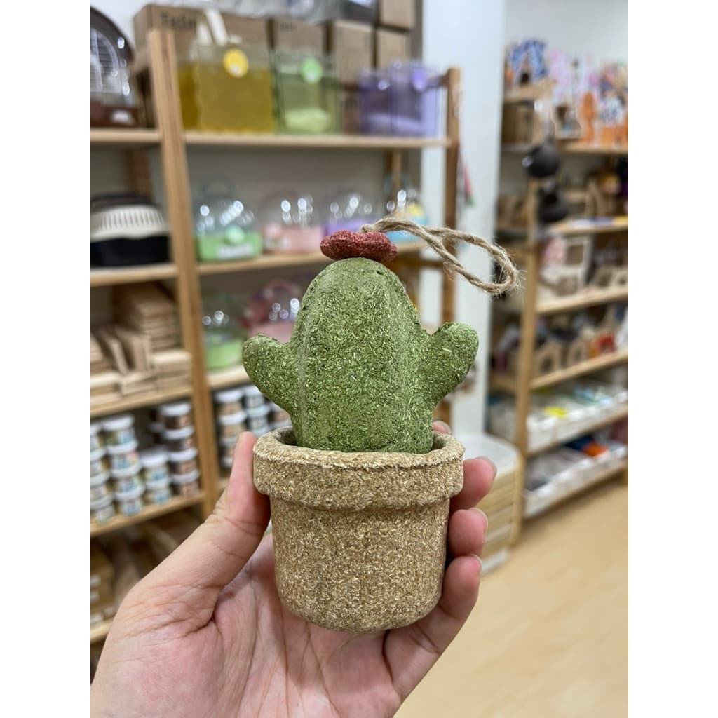 แทะ ลับฟัน ของตกแต่งกรงลับฟันได้รวมหลายยี่ห้อ carno rodizoo ป่าสน ต้นสน ลูกโอ๊ค ดอกไม้ น้ำพุ กระบองเพชร ลูกประคำ รูปที่ 6