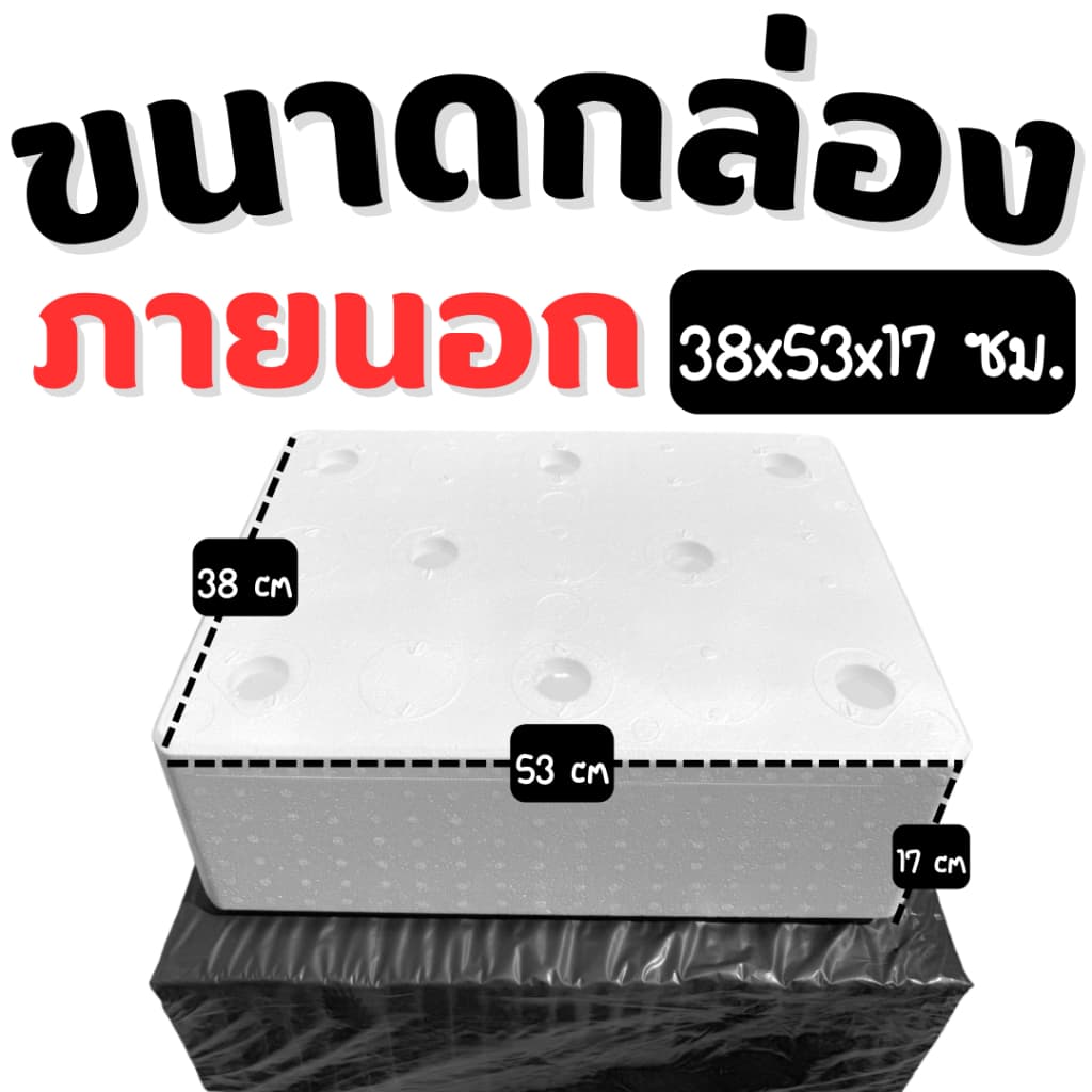 กล่องโฟมปลูกผักรุ่นหนา กล่องปลูกผัก กล่องโฟม พร้อมเจาะรูฟรี 6 8 15 ช่อง รูปที่ 3
