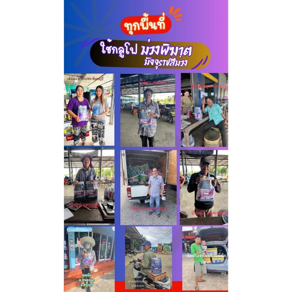 กลูโฟซิเนต 6 ลิตร เกรดน้ำม่วงพิฆาต มัจจุราชสีม่วง #กลูโฟซิเนตแอมโนเนียม 15% ยาเผาไหม้+ดูดซึม หญ้าร้ายตายเรียบ รูปที่ 7