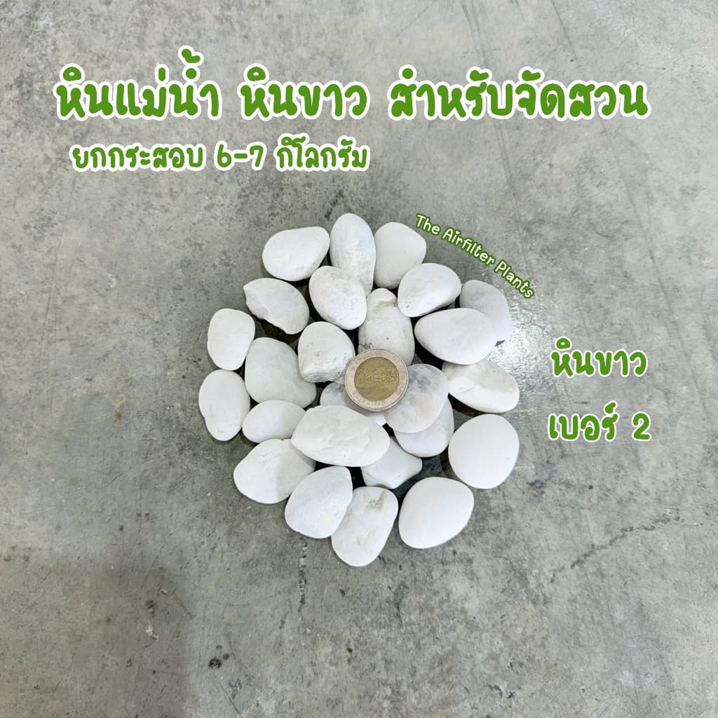 หินแม่น้ำ หินขาว หินกรวดยกกระสอบ 6-7 กิโลกรัม สำหรับตกแต่งสวน โรยกระถางต้นไม้ รูปที่ 5