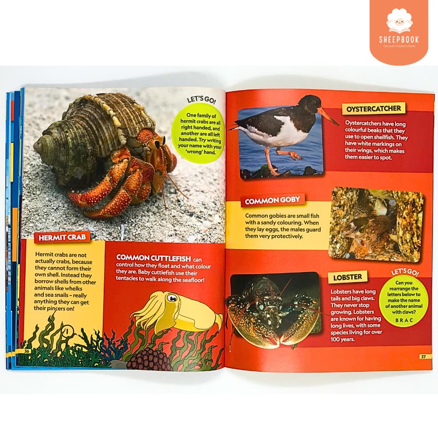 หนังสือความรู้ทั่วไป National Geopraphic Kids: Ocean รูปที่ 4