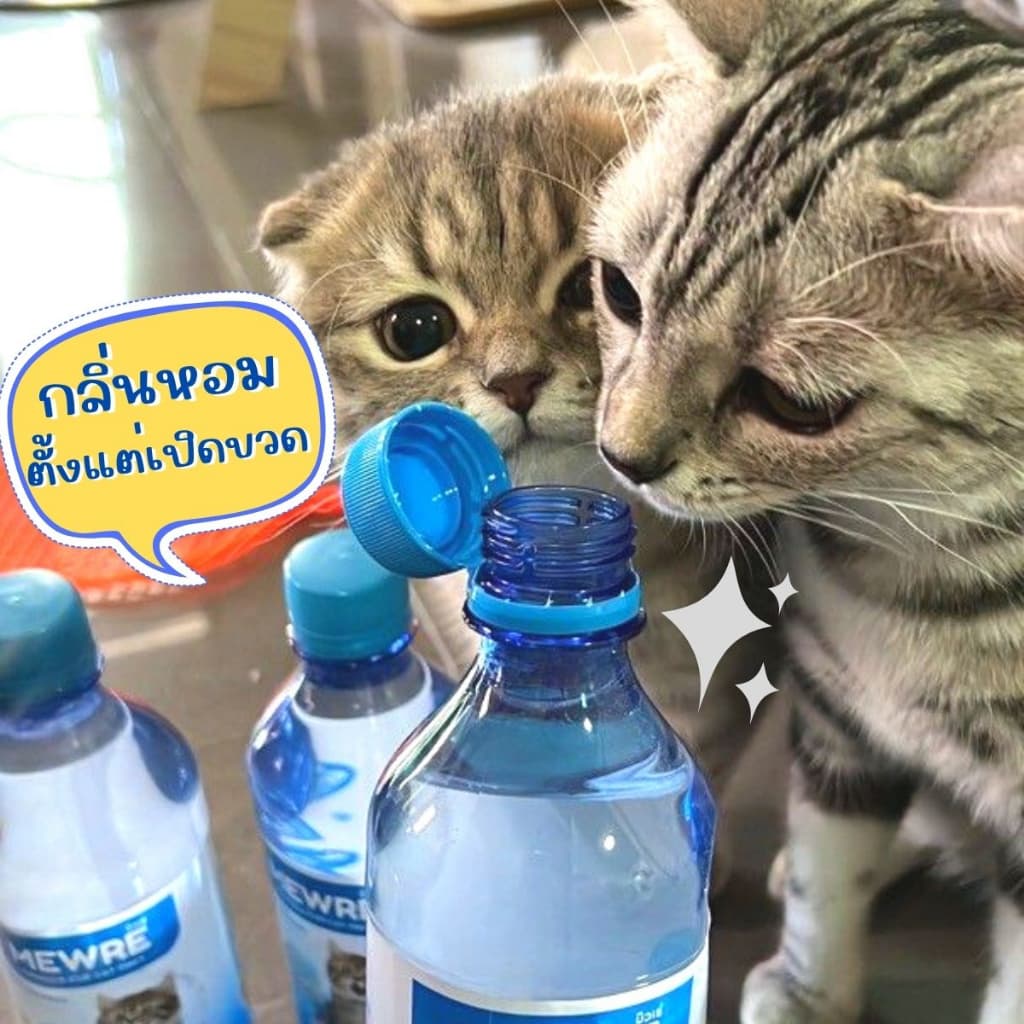 Pawblic น้ำดื่มสำหรับแมว น้ำดื่มแมวมิวเร่ เซ็ตสุดคุ้ม 6 ขวด สูตรธรรมชาติ ป้องกันนิ่วในไต มีตัวเลือกมากมายให้เลือก รูปที่ 7