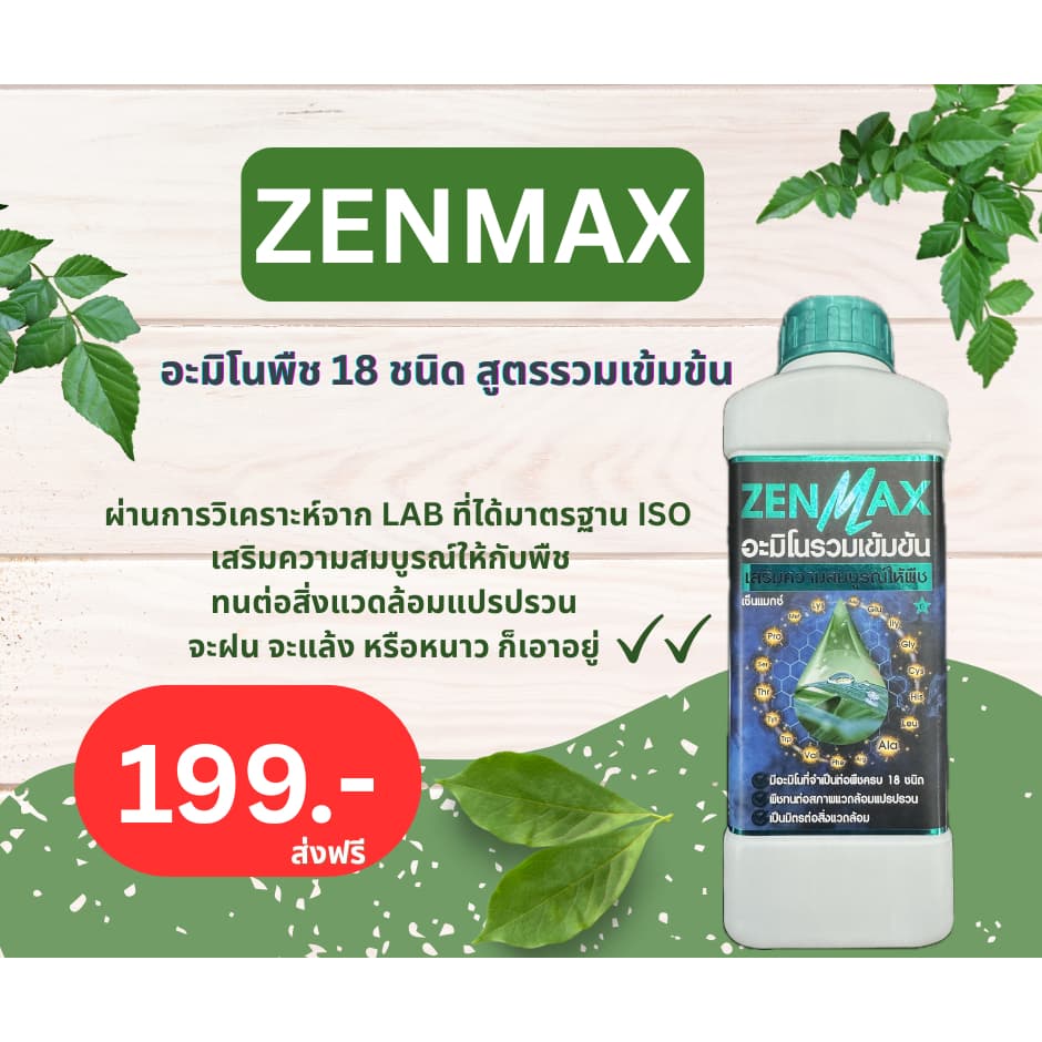 Zenmax อะมิโนพืช สูตรรวมเข้มข้น 18 ชนิด ชุด 1 ลิตร 199 บาท Z1 รูปที่ 1