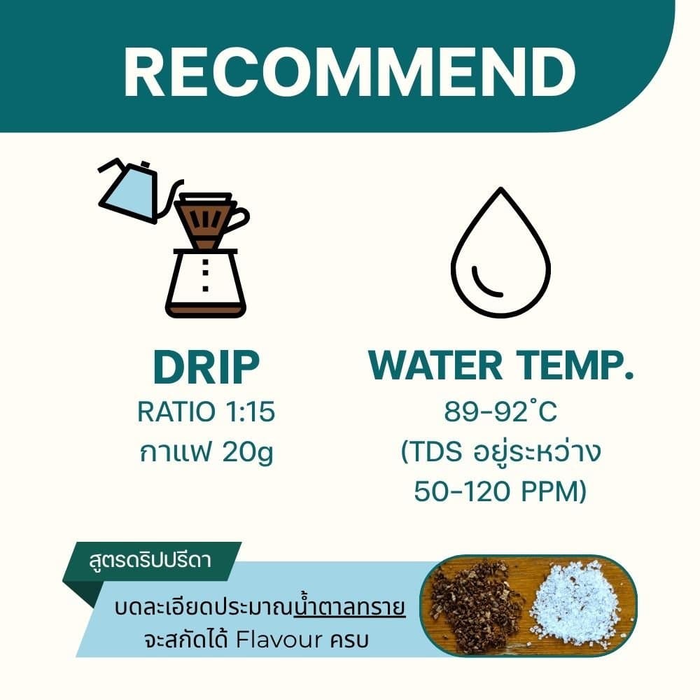 Listen Blend (เมล็ดกาแฟคั่วกลาง Medium Roast กาแฟฟรุตตี้ รสช็อกโกแลต กาแฟดื่มง่าย ปรีดา) รูปที่ 3