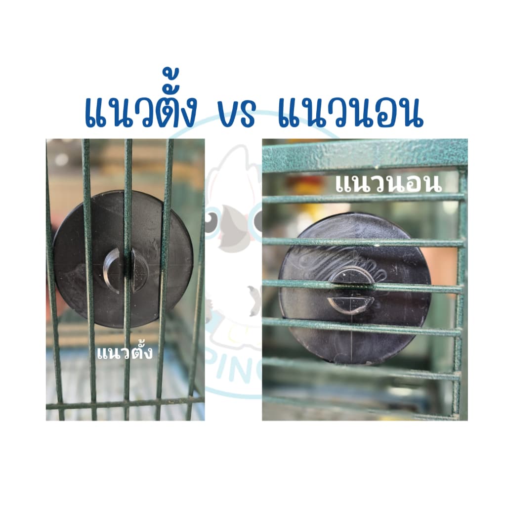 คอนลับเล็บนก Flapping Wings คอนนก คอนลับเล็บไซส์ XS - XL สำหรับนกทุกขนาด รูปที่ 5