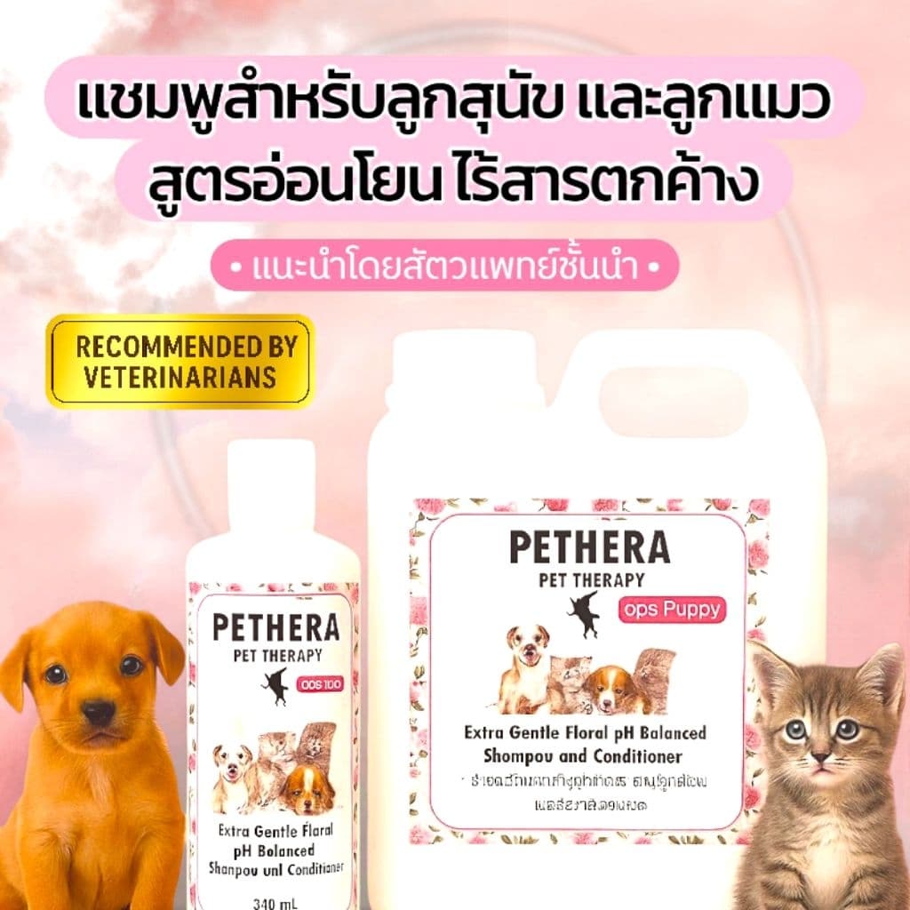 แชมพู Pethera สูตรลูกสุนัข/ลูกแมวผิวแพ้ง่าย เชื้อราสุนัขแมวเด็ก ลดผดผื่นคัน กลากเกลื้อนน้ำนม รูปที่ 1