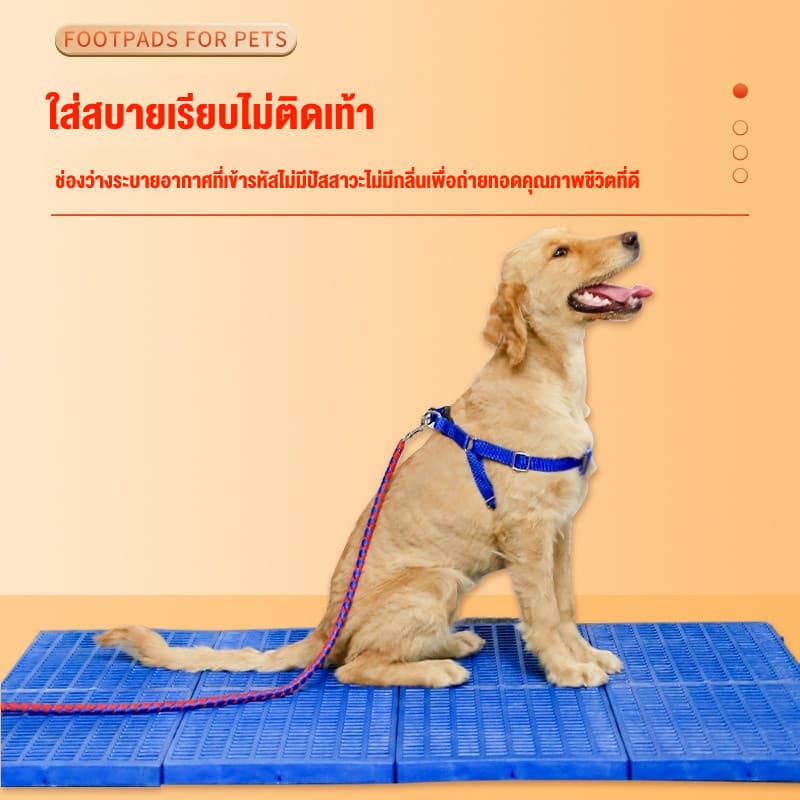 แผ่นรองกรง กันเท้าตกร่อง กันลื่น วัสดุPPทนทาน รองรับน้ำหนักดี สำหรับสัตว์เลี้ยง รูปที่ 4