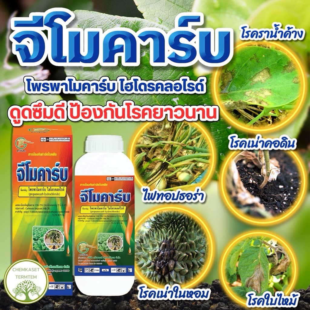 จีโมคาร์บ⭕สารโพรพาโมคาร์บ 72.2%SLขนาด 1 ลิตรเก่งโรครากเน่าโคนเน่า เน่าดำ เน่าเข้าไส้ ไฟทอปธอรา รูปที่ 1