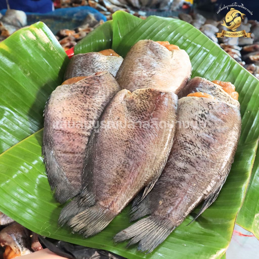 ปลาสลิดแดดเดียวใหญ่พิเศษ แสนสมบูรณ์ปลาสลิดบางบ่อ ขนาด 6 ตัวโล รูปที่ 4