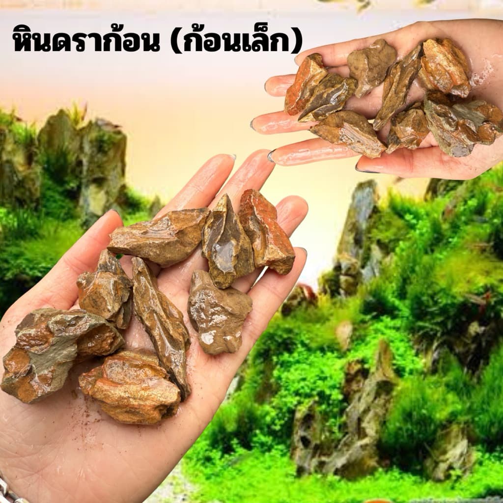 หินดราก้อน แต่งตู้ปลานำไปติดกาวได้ รูปที่ 1