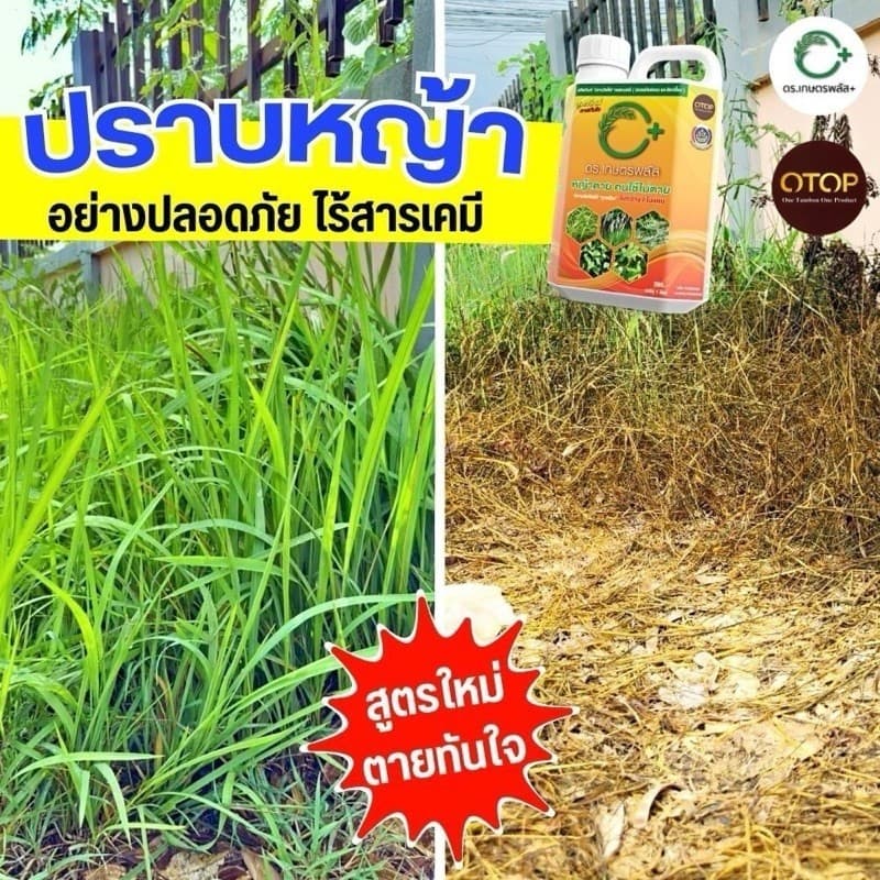 2 แถม 1 สารกำจัดวัชพืช สูตรอินทรีย์ ขนาด 1000 ML. ปลอดภัย เป็นมิตรต่อสิ่งแวดล้อม รูปที่ 7