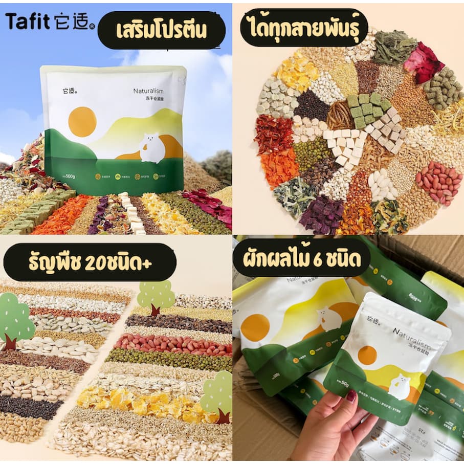 อาหารแฮมสเตอร์ อาหารผสม Tafit Jonsanty Funny Bunny tail tale Eco Forest แฮมสเตอร์ รูปที่ 5