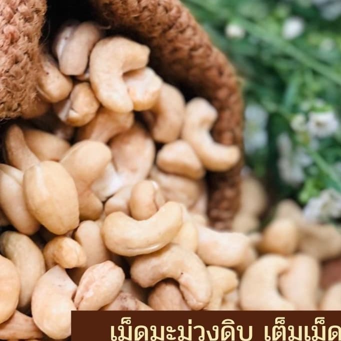 เม็ดมะม่วงดิบ เม็ดเต็ม ไซส์ ฺA # ใหม่ ขาว หวานมัน เม็ดใหญ่ รูปที่ 4