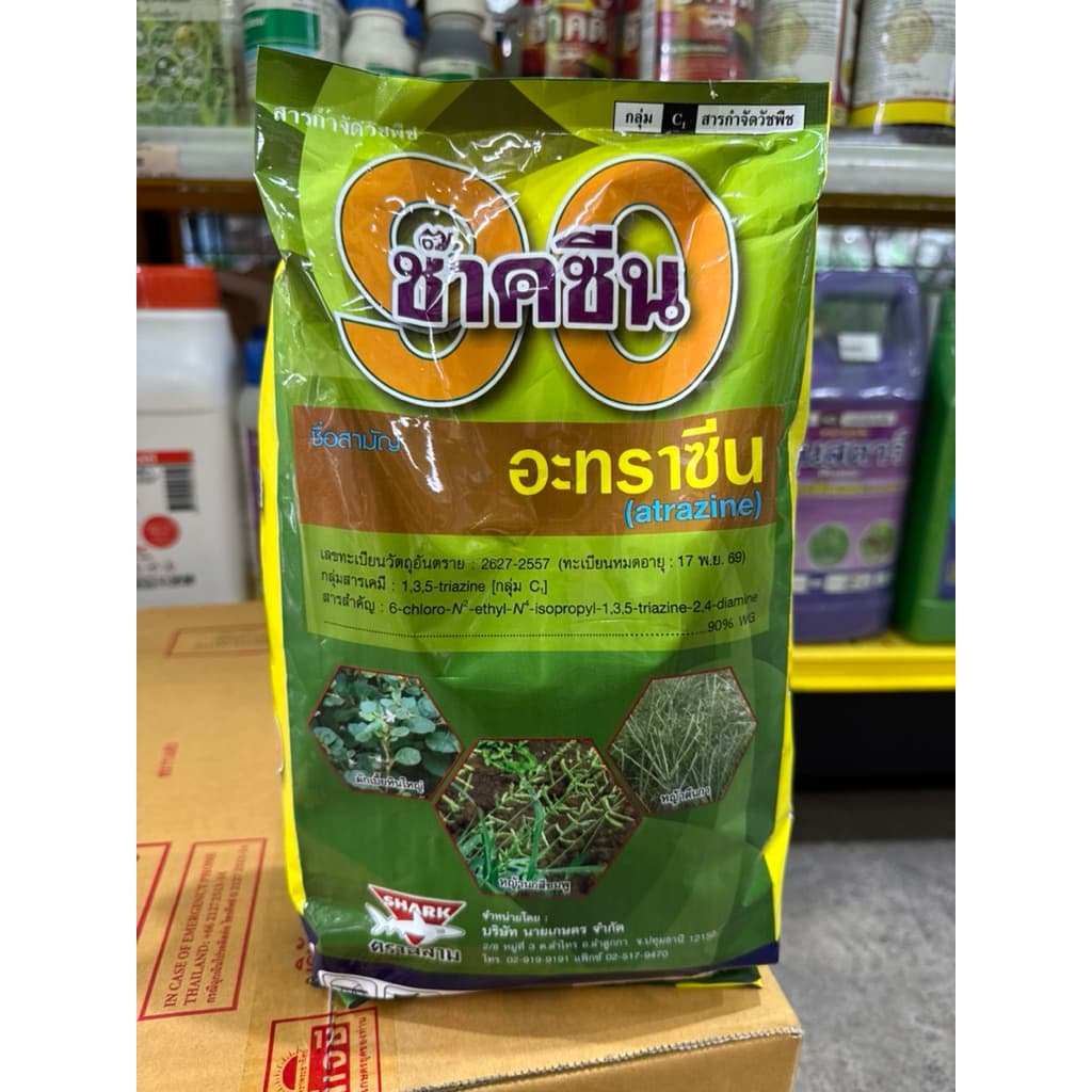 อะทราซีน กำจัดหญ้าในไร่สับปะรด กำจัดหญ้าไร่ข้าวโพด กำจัดหญ้าไร่อ้อย ออกฤทธิ์คุมฆ่าหญ้า รูปที่ 8
