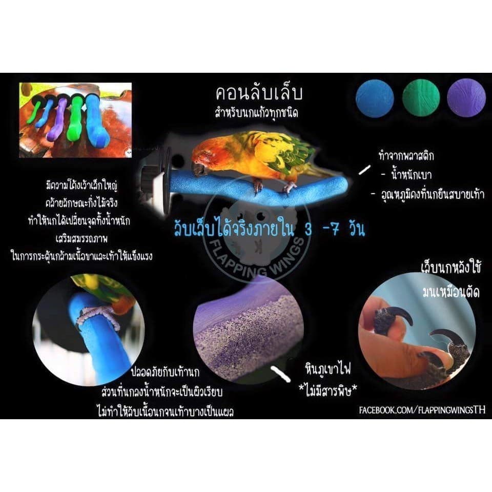 คอนลับเล็บนก Flapping Wings คอนนก คอนลับเล็บไซส์ XS - XL สำหรับนกทุกขนาด รูปที่ 3