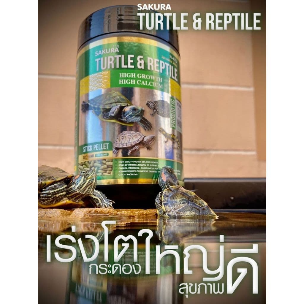 SAKURA SPECIAL TURTLE & REPTILE อาหารเต่า และสัตว์เลื้อยคลาน สูตรเร่งโต กระดองใหญ่ สุขภาพดี รูปที่ 4