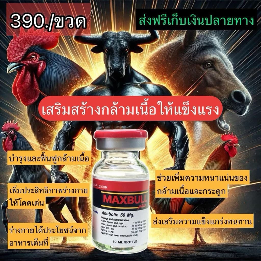 อาหารสัตว์Maxbull บำรุง รูปที่ 1